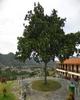 Hotel La Ermita 