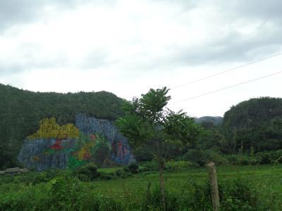 En el Mural de la Prehistoria se puede ver en 12 piezas el proceso evolutivo de los hombres y de los animales en la Sierra de los Órganos, en sus distintas etapas. Se extiende a largo del Valle por 120 y los 160 metros de longitud. Fuente: Ecured.